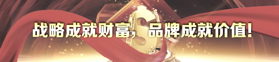 戰(zhàn)略成就財富,品牌成就價值!-2